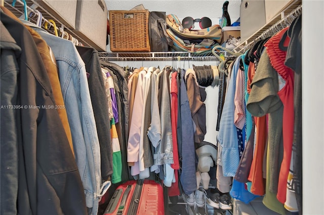 view of walk in closet