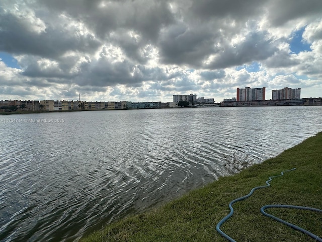 view of water feature