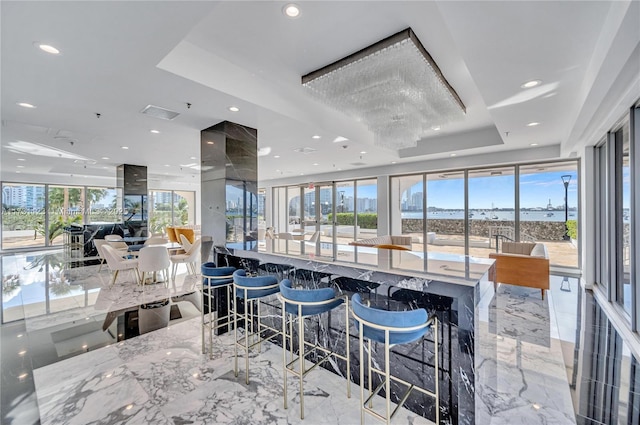 dining room featuring a raised ceiling and a healthy amount of sunlight