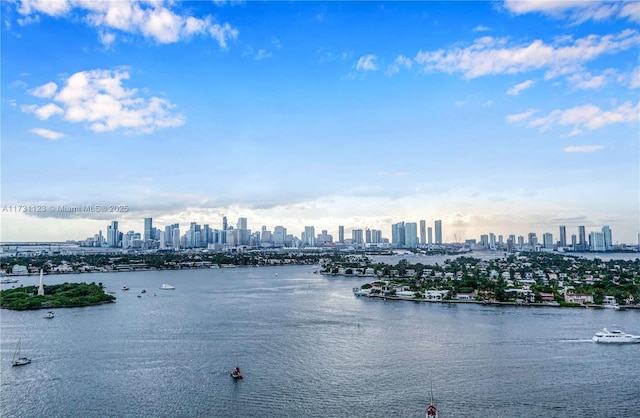 11 Island Ave Unit 2010, Miami Beach, FL 33139 - photo 34