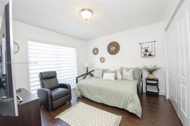 bedroom featuring dark hardwood / wood-style floors and a closet