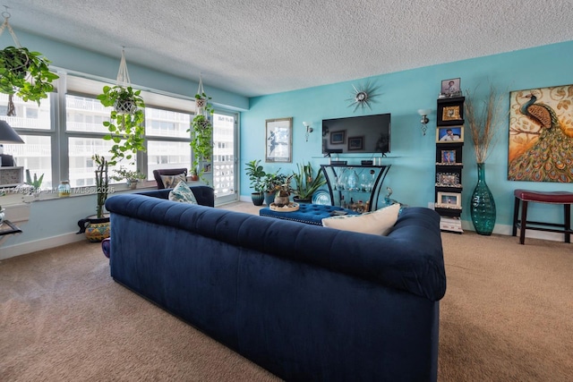 living room featuring carpet floors and a textured ceiling