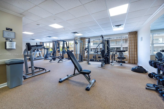 workout area featuring plenty of natural light and a drop ceiling