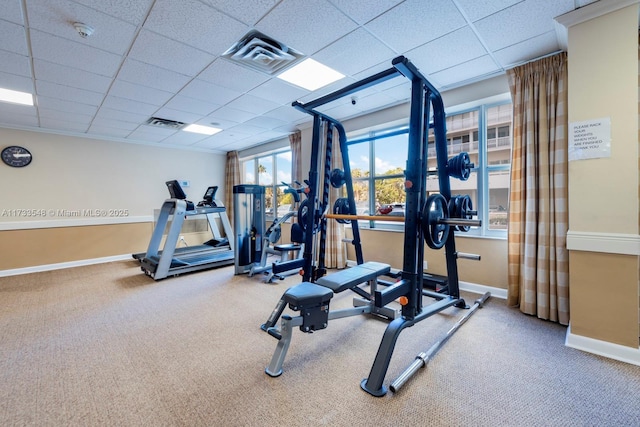 exercise room featuring a paneled ceiling and carpet