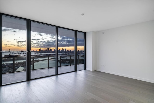 unfurnished room with expansive windows and wood-type flooring