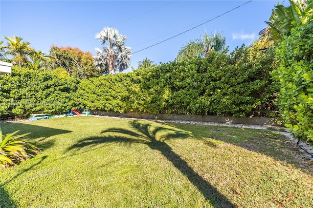view of yard