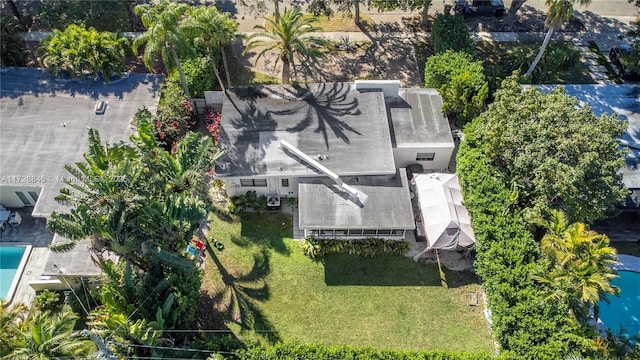 bird's eye view