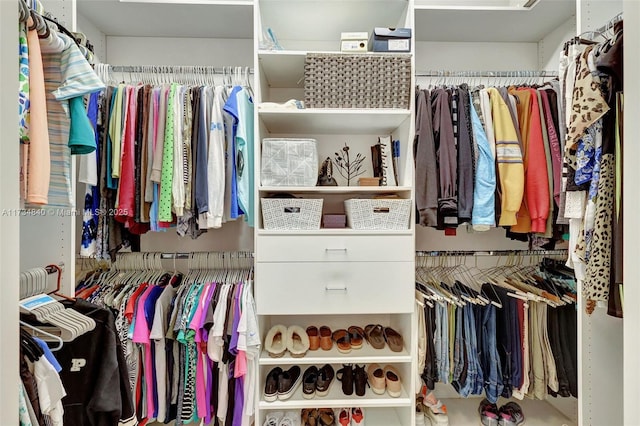 view of walk in closet
