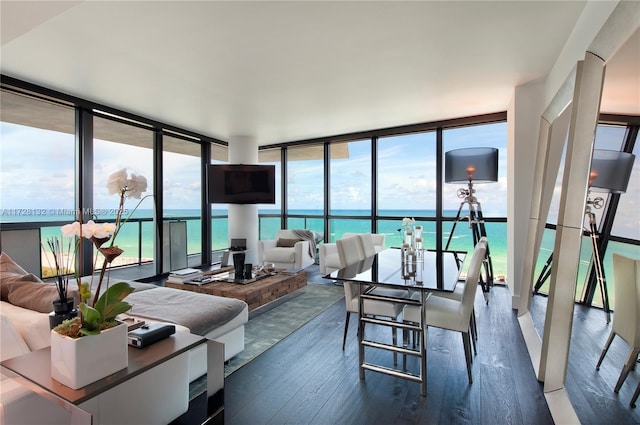 living room featuring wood-type flooring and floor to ceiling windows