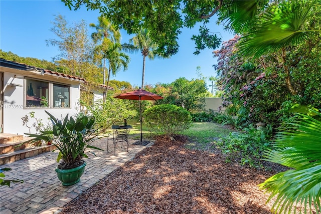 view of yard featuring a patio