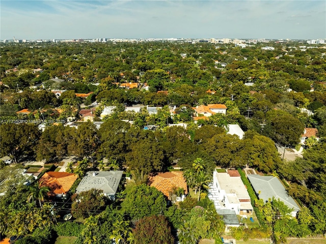 bird's eye view