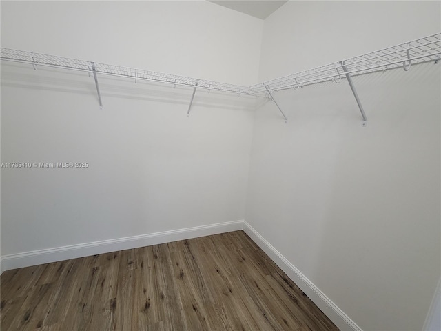 walk in closet with dark wood-type flooring