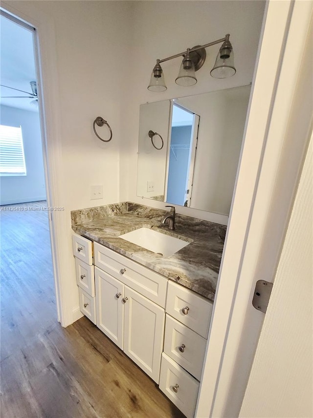 bathroom featuring wood finished floors and vanity