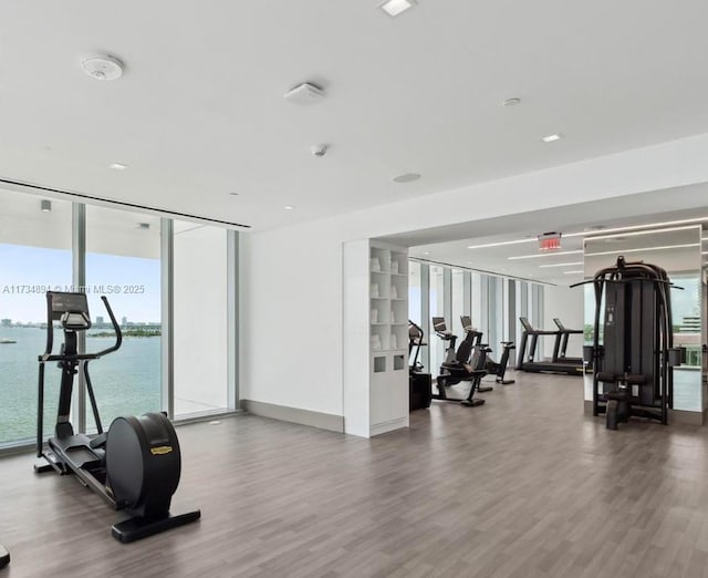 gym featuring floor to ceiling windows, a water view, and wood-type flooring