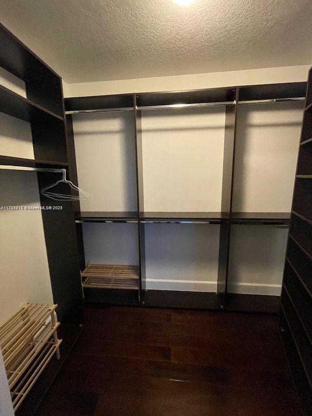 walk in closet featuring dark hardwood / wood-style flooring