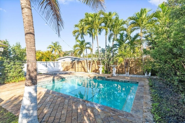 view of pool with a patio area