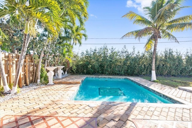 view of swimming pool with a patio area