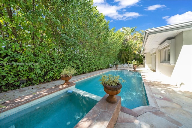 view of swimming pool with a patio