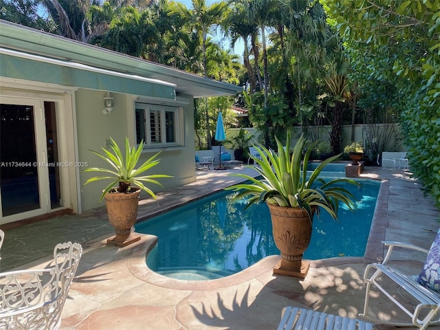 view of pool featuring a patio area