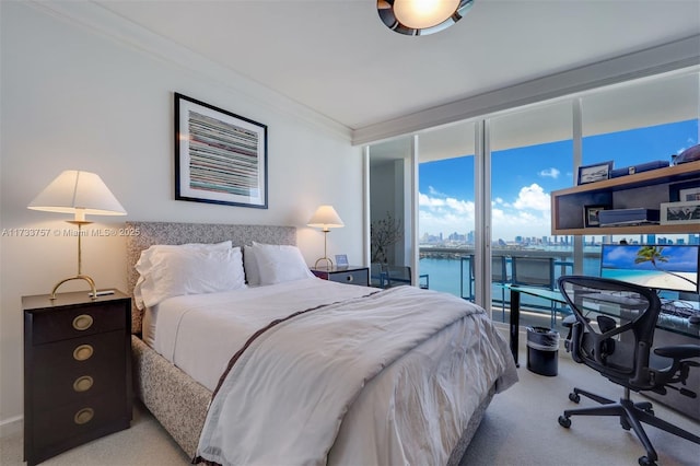 carpeted bedroom with expansive windows and ornamental molding