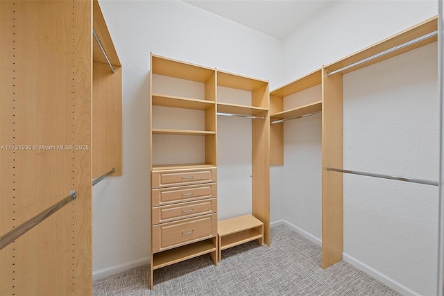 walk in closet with light colored carpet