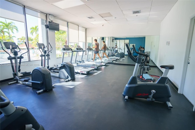 exercise room with floor to ceiling windows and a drop ceiling