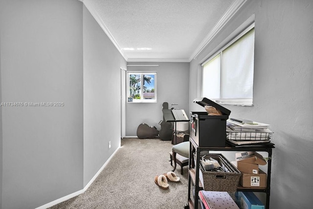 exercise area with crown molding, carpet floors, and a textured ceiling