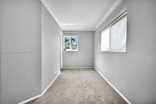 empty room with ornamental molding, a textured ceiling, and carpet