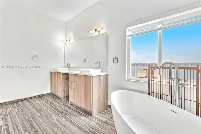 bathroom with hardwood / wood-style flooring, vanity, and a washtub