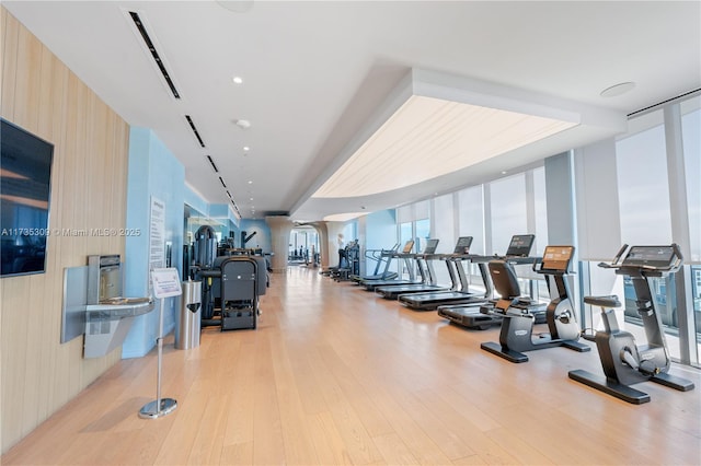 exercise room featuring light hardwood / wood-style floors and a wall of windows