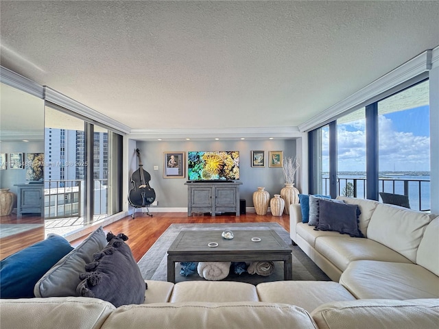 living area with a textured ceiling, floor to ceiling windows, wood finished floors, and baseboards