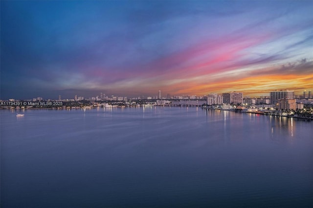 property view of water featuring a city view