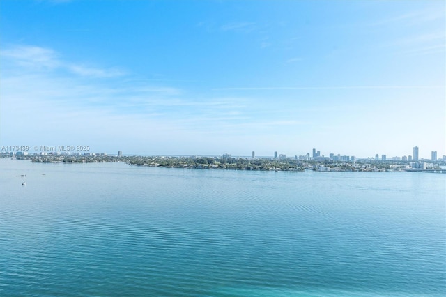 water view featuring a city view