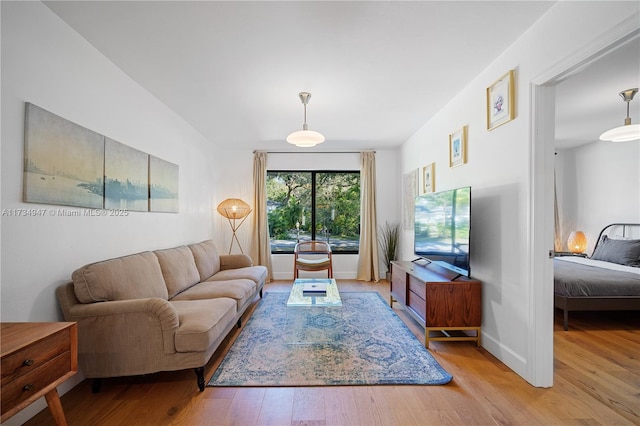 living room featuring light hardwood / wood-style floors