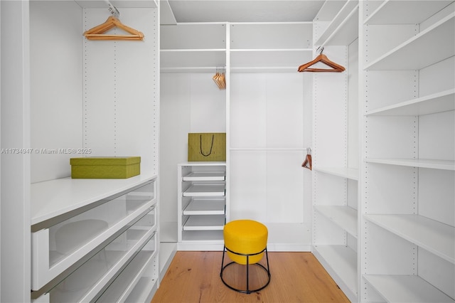 walk in closet featuring wood-type flooring