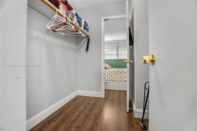 spacious closet with dark hardwood / wood-style floors