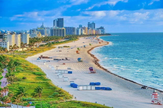 aerial view with a water view and a view of the beach