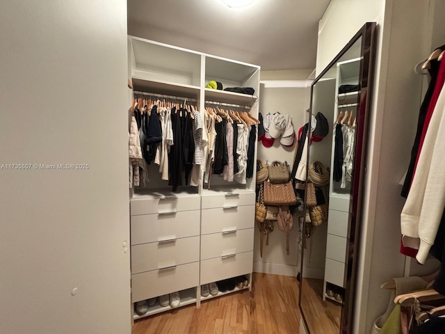 walk in closet featuring light hardwood / wood-style floors