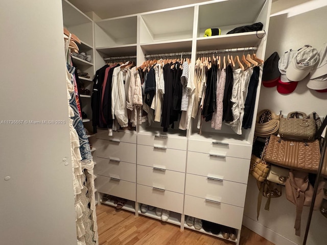 spacious closet with hardwood / wood-style flooring