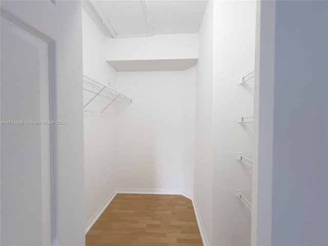 spacious closet featuring hardwood / wood-style flooring