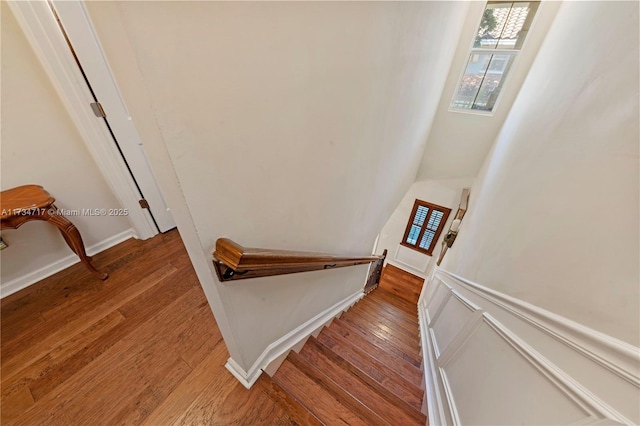 staircase with hardwood / wood-style flooring