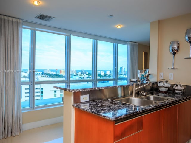 kitchen with sink and dark stone counters