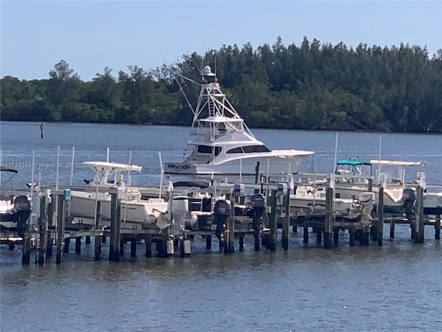 view of dock with a water view