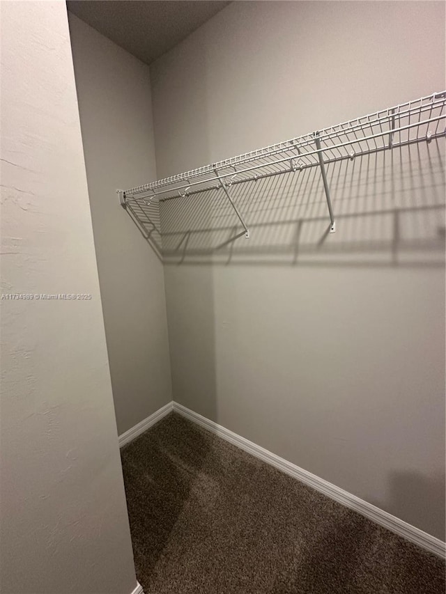 walk in closet featuring carpet