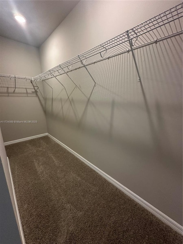 walk in closet with carpet floors