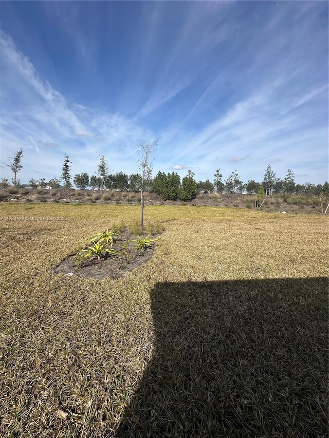 view of yard featuring a rural view