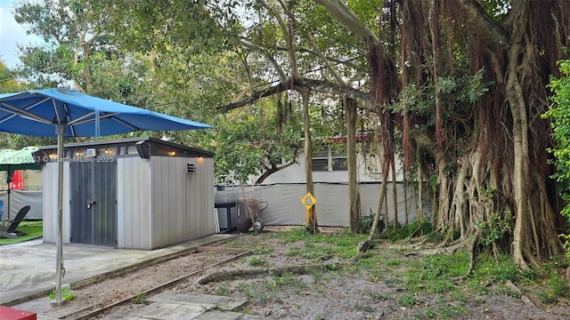 view of yard with a storage shed