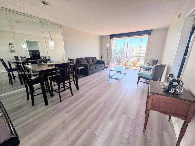 living room with light hardwood / wood-style flooring and a textured ceiling