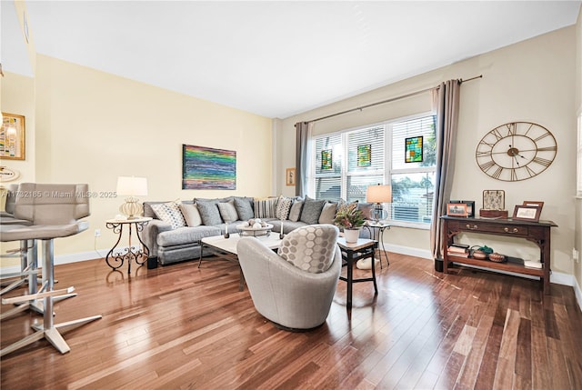 living room featuring wood-type flooring