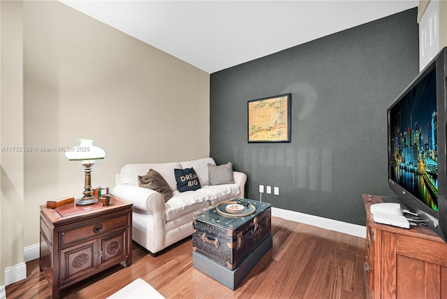 living room featuring hardwood / wood-style flooring